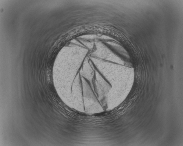 X0000062131490200601060844