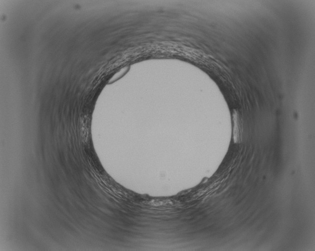 X0000062131491200601060844