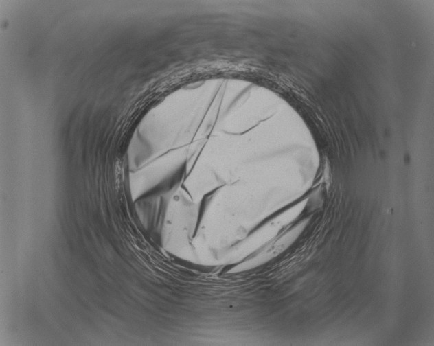 X0000062131492200601060844