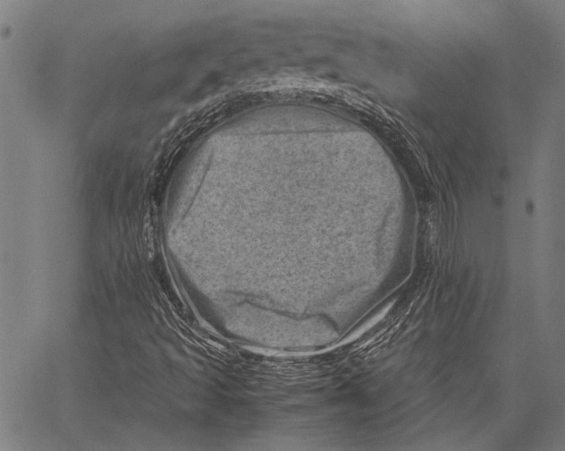 X0000062131493200601060844