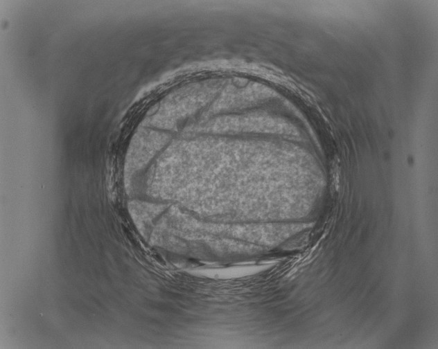 X0000062131494200601060844