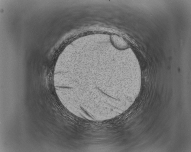 X0000062131495200601060844