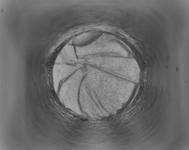 X0000062131496200601060844