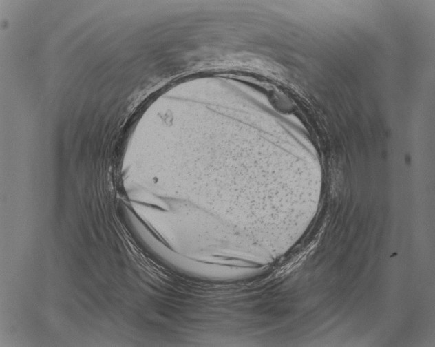 X0000062131497200601060844