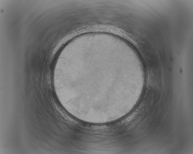 X0000062131498200601060844