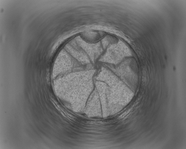 X0000062131499200601060844