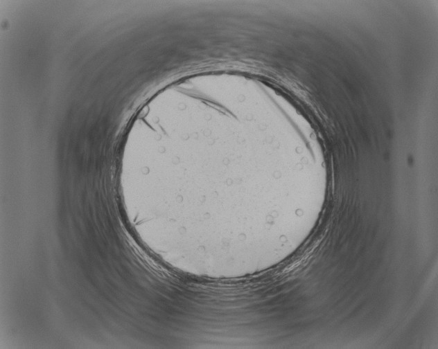 X0000062131500200601060844