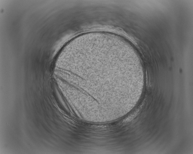 X0000062131501200601060844