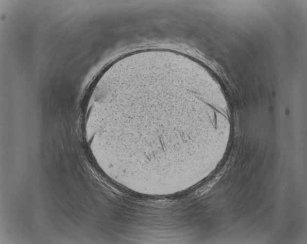 X0000062131502200601060844