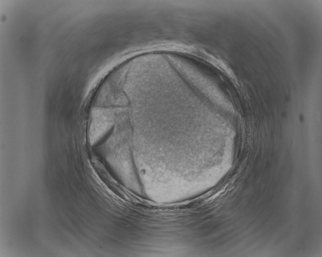 X0000062131504200601060844