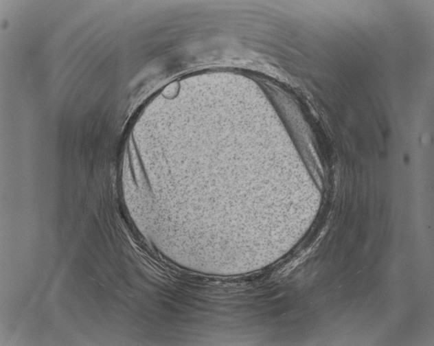 X0000062131505200601060844