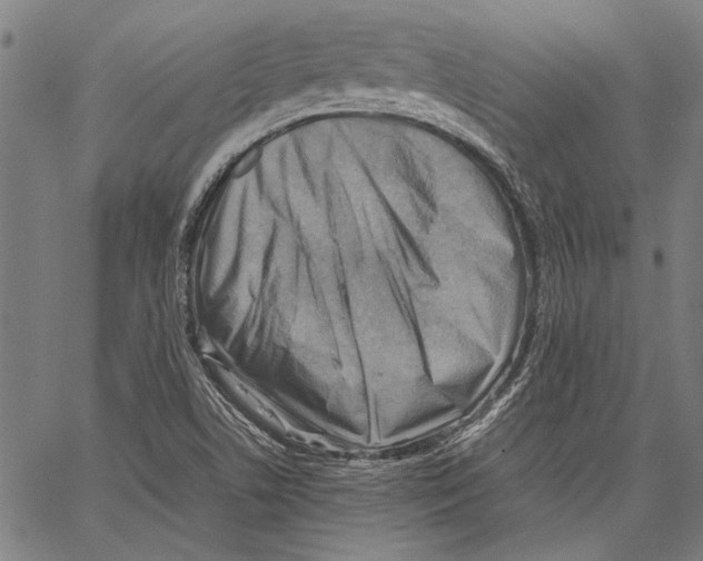 X0000062131506200601060844