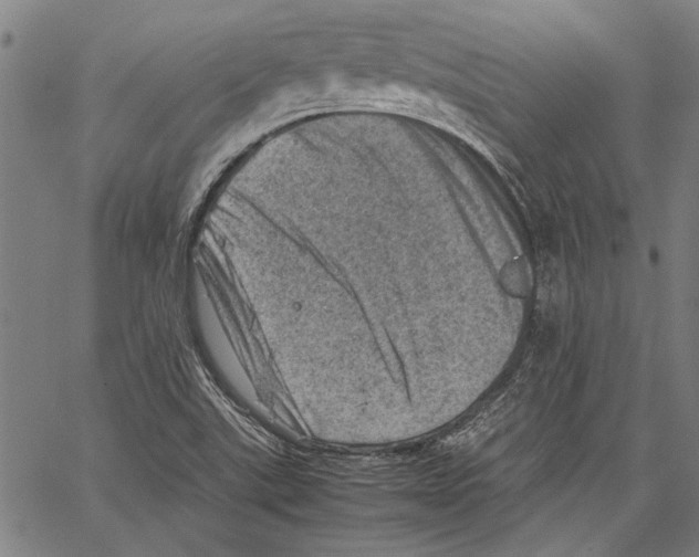 X0000062131507200601060844