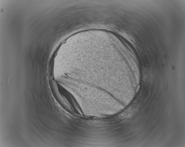 X0000062131508200601060844