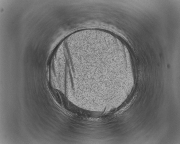 X0000062131509200601060844