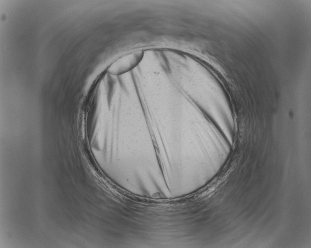 X0000062131510200601060844