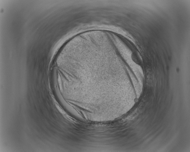 X0000062131511200601060844