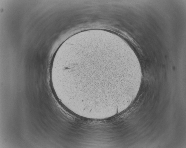 X0000062131512200601060844