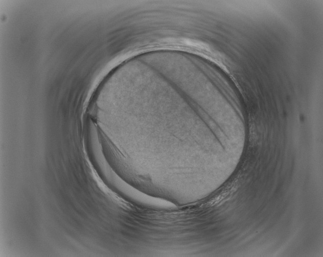 X0000062131515200601060844