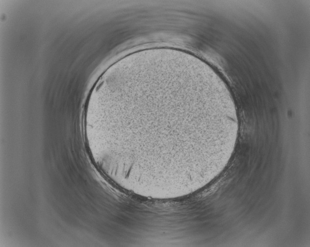 X0000062131516200601060844