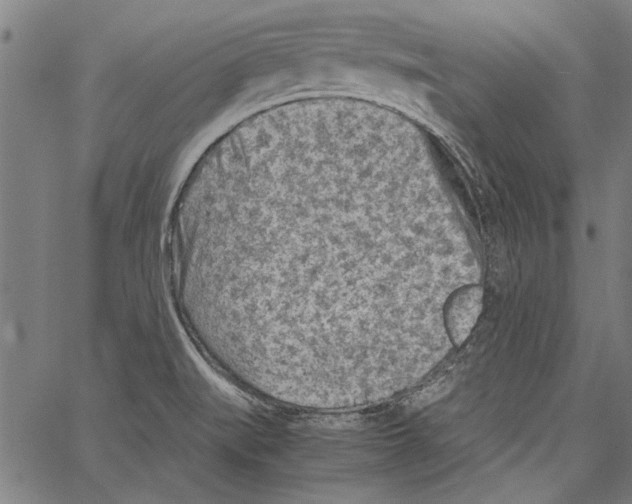 X0000062131519200601060844