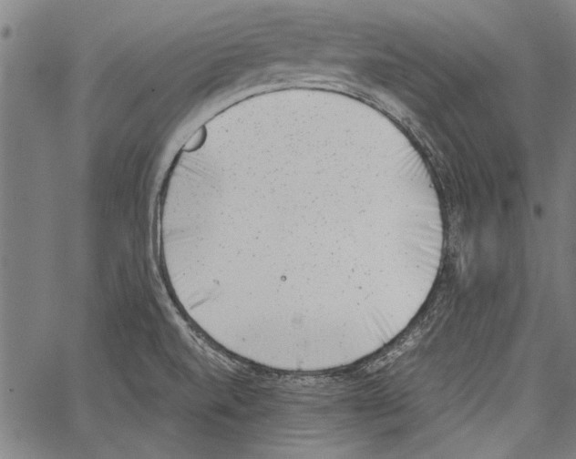 X0000062131520200601060844