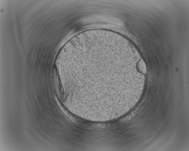 X0000062131521200601060844