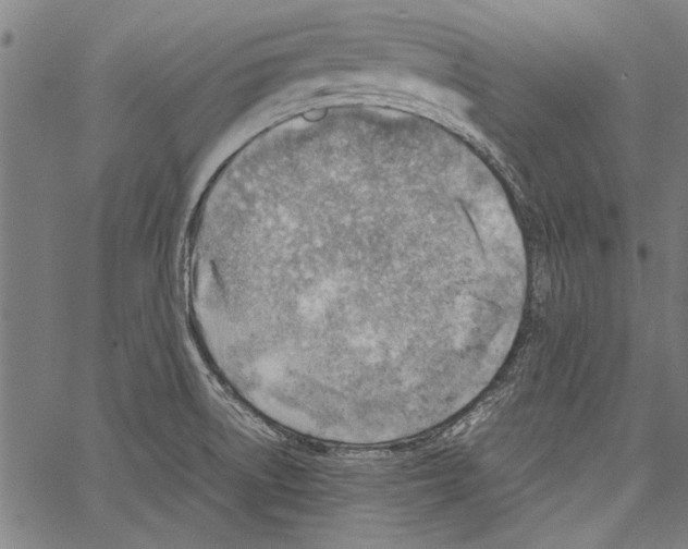 X0000062131522200601060844