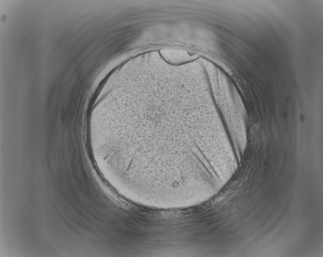 X0000062131523200601060844