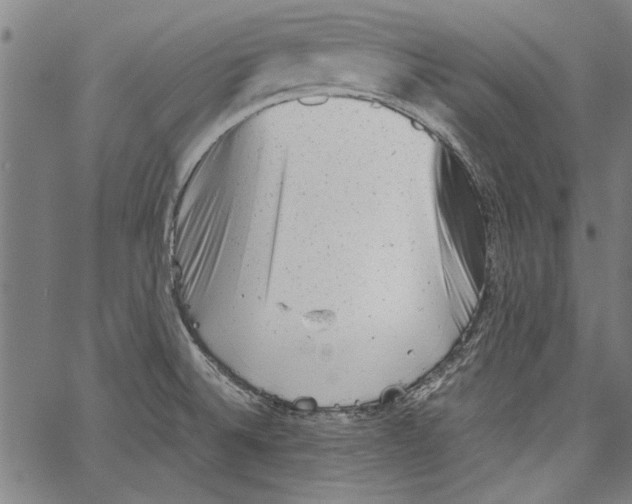 X0000062131524200601060844