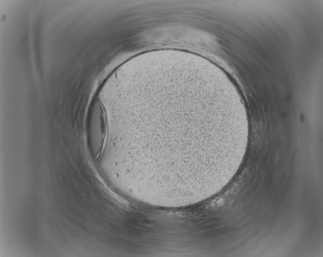 X0000062131525200601060844