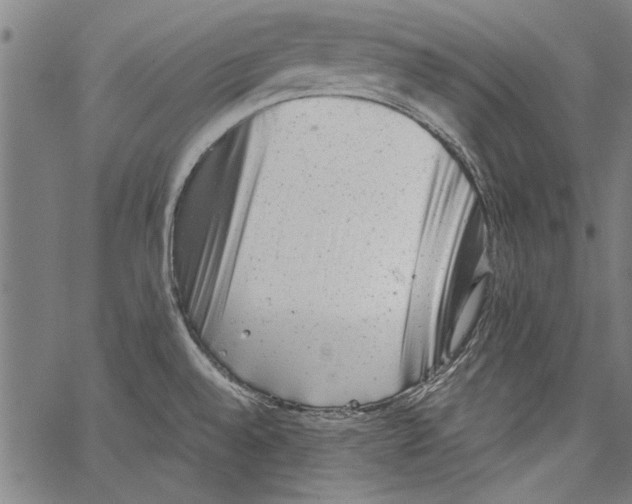 X0000062131528200601060844