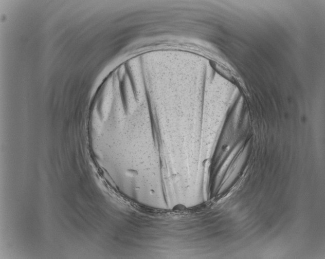 X0000062131530200601060844