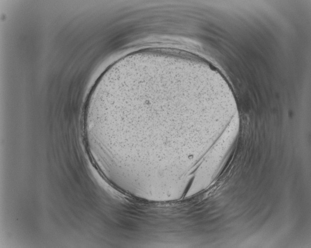 X0000062131531200601060844