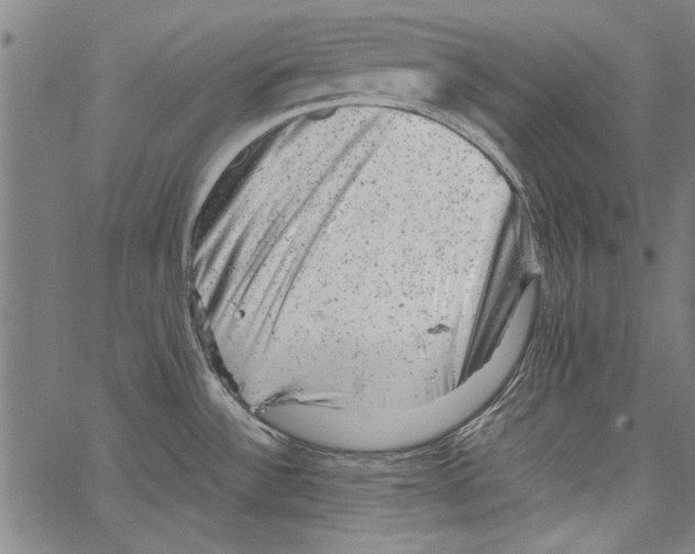 X0000062131532200601060844