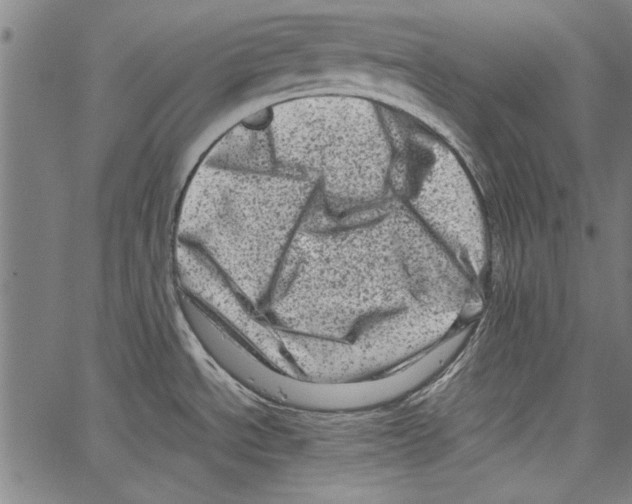 X0000062131534200601060844