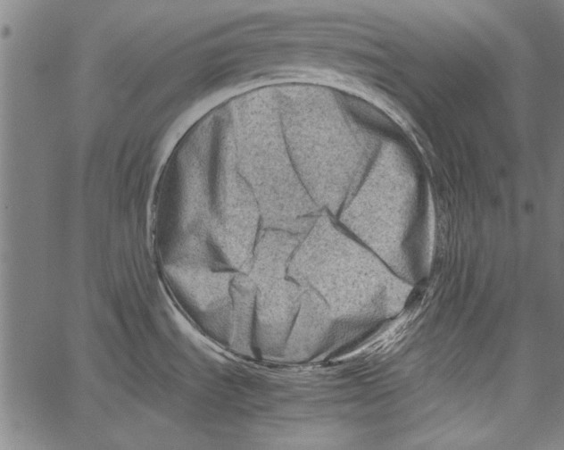 X0000062131535200601060844