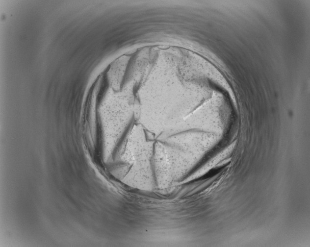 X0000062131536200601060844