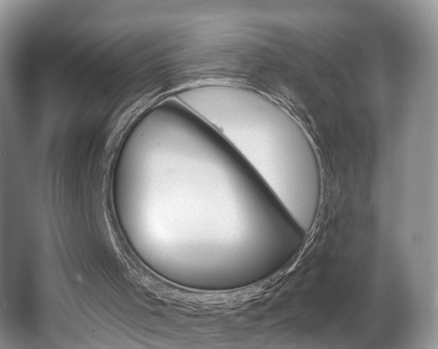 X0000062140001200512091029