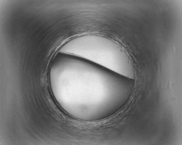 X0000062140002200512091029