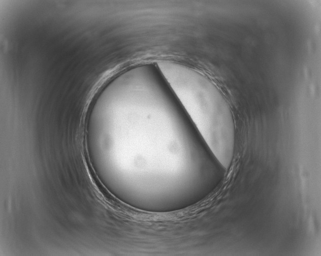 X0000062140003200512091029