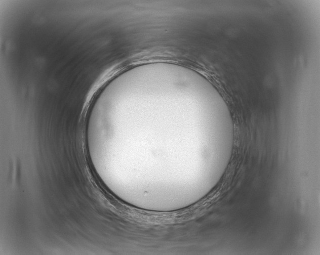 X0000062140004200512091029