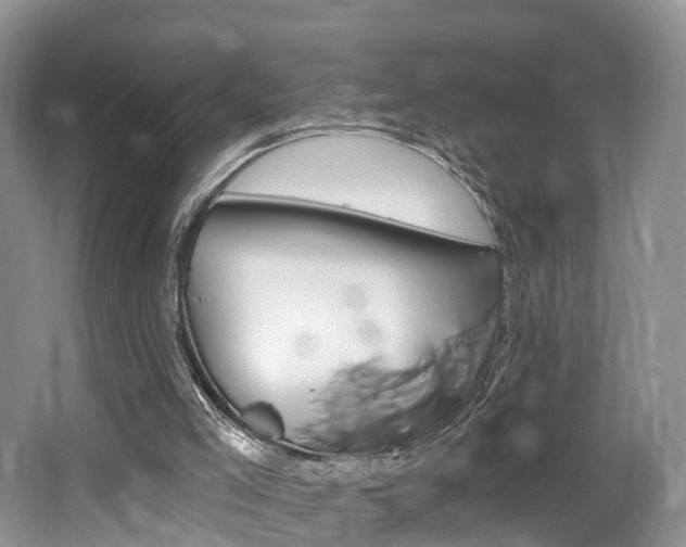 X0000062140005200512091029