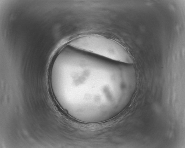 X0000062140006200512091029