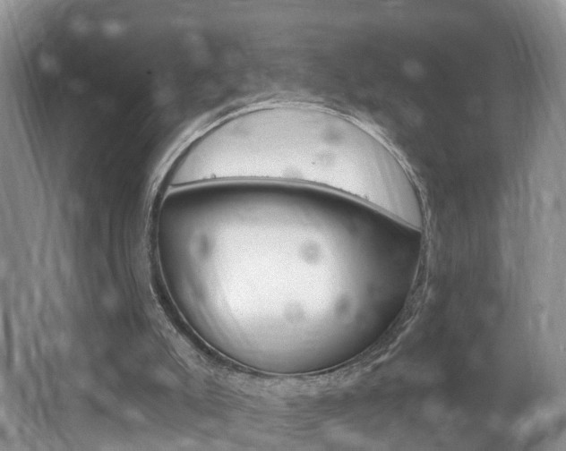 X0000062140007200512091029