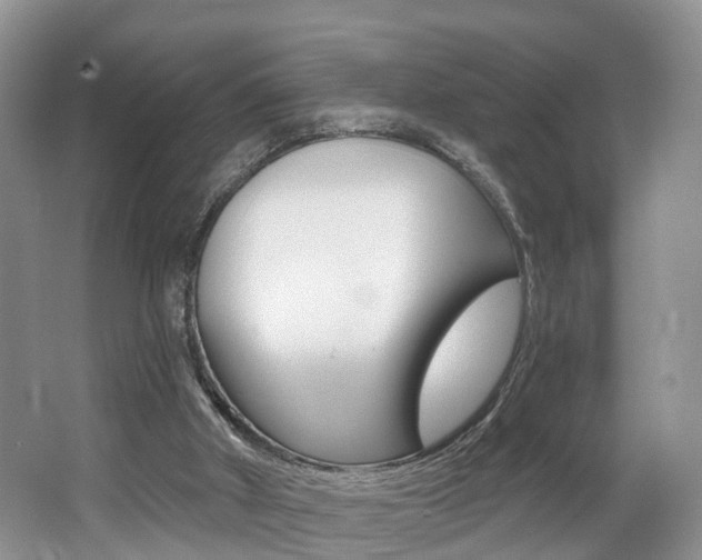 X0000062140010200512091029