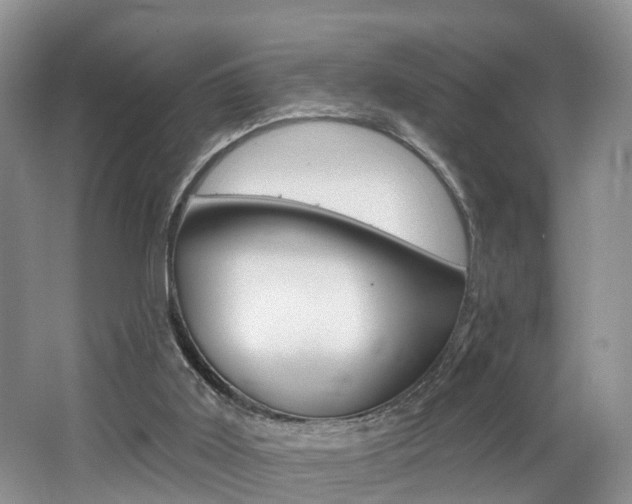 X0000062140011200512091029