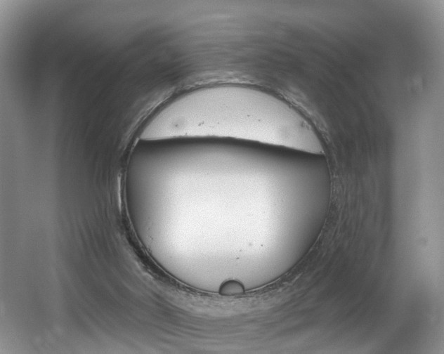 X0000062140014200512091029