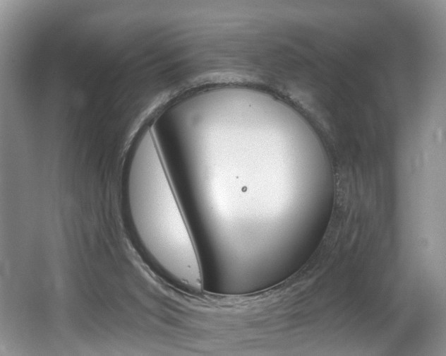 X0000062140015200512091029