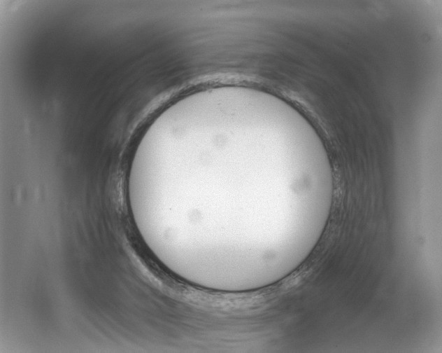 X0000062140016200512091029